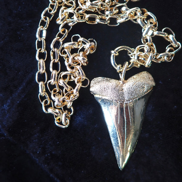 MARNI SHARK TOOTH NECKLACE