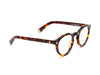 CADDIS DOGLEG  READERS - TURTLE