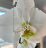 Sterling silver CUSTOM NAMEPLATE Necklace