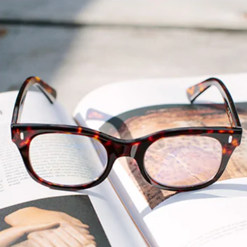 CADDIS BIXBY - Reading Glasses - TURTLE